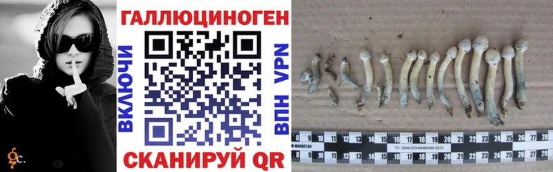 Галлюциногенные грибы GOLDEN TEACHER  Купить  Енисейск 